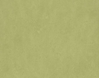 [100111112_38] Marmoleum Fresco - 3265 avocado